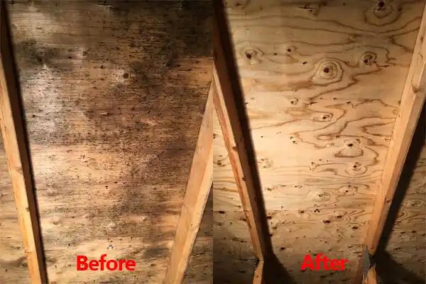 water damage restoration service Pocasset